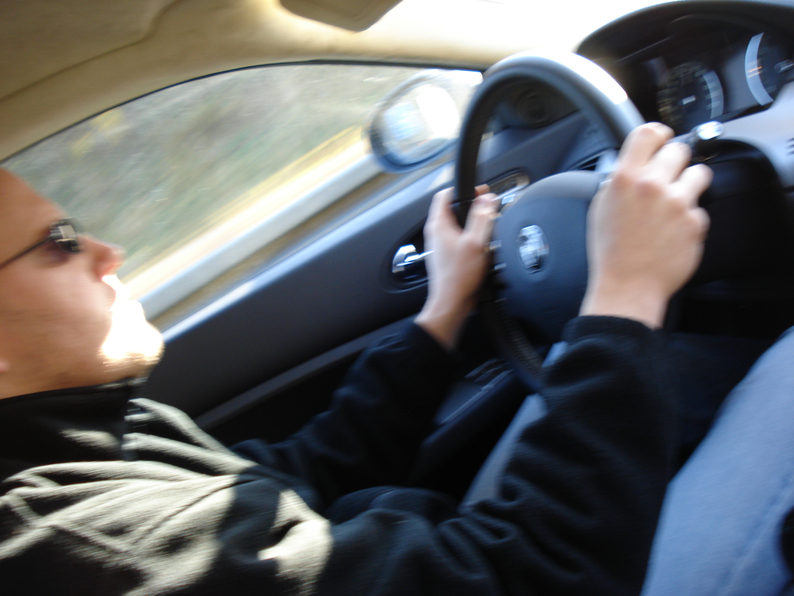 Bas achter het stuur van een auto